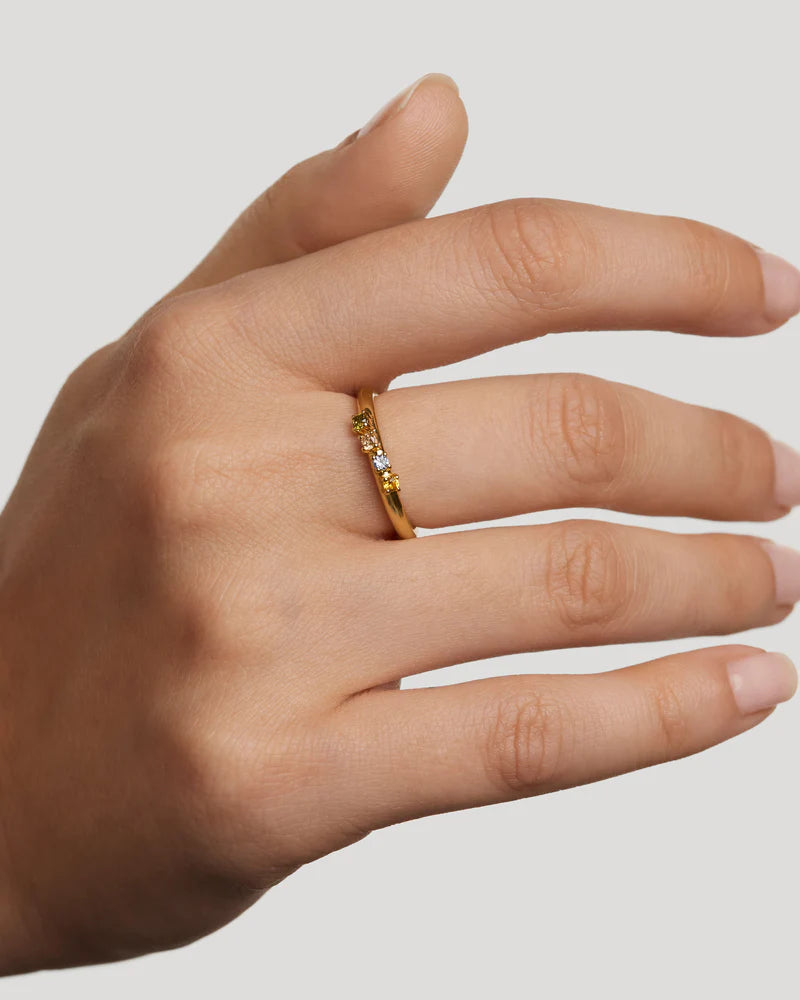 Bague Rainbow Wing
