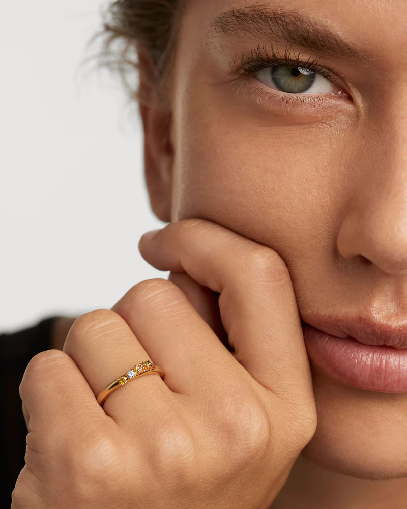 Bague Rainbow Wing