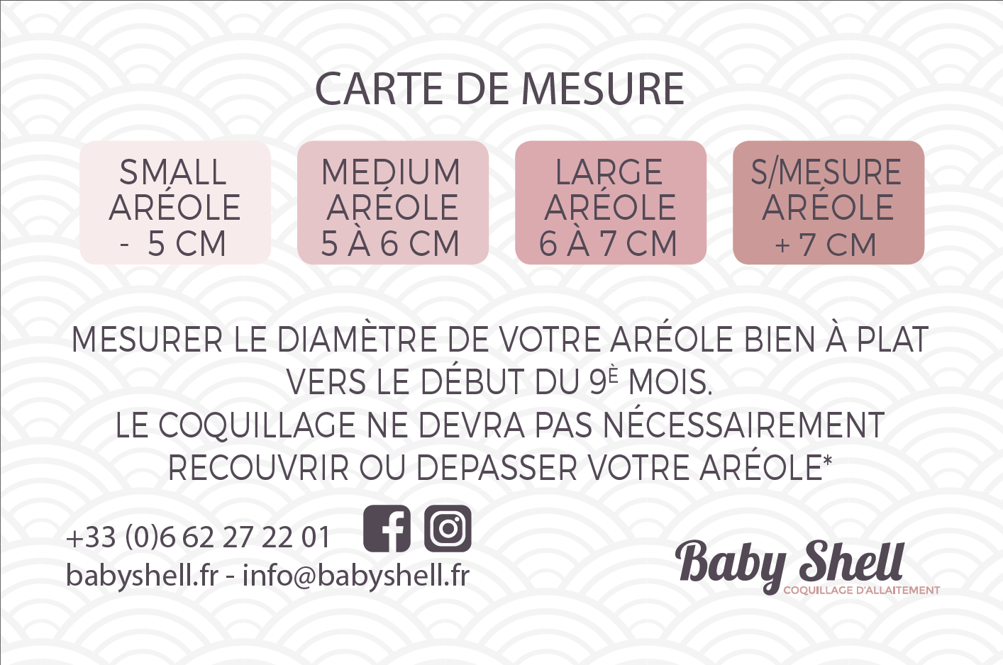 Coquillages d'allaitement