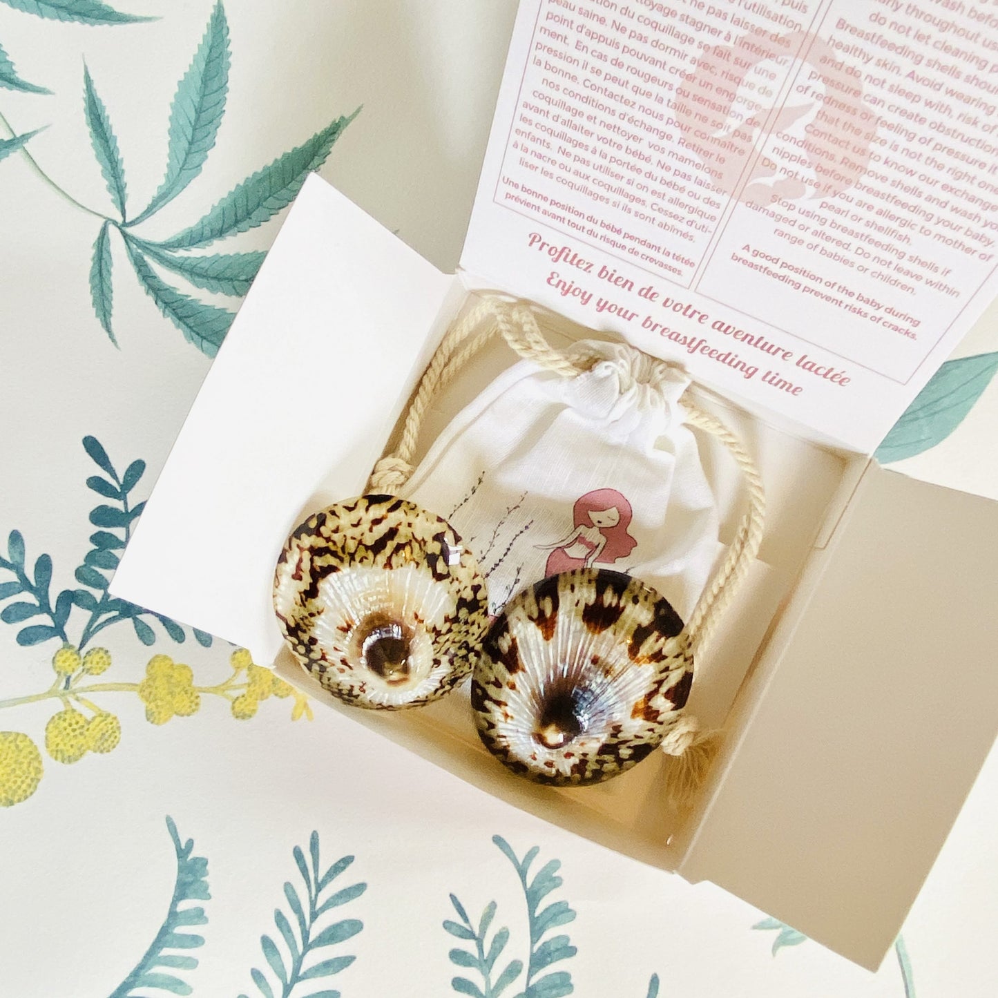 Coquillages d'allaitement