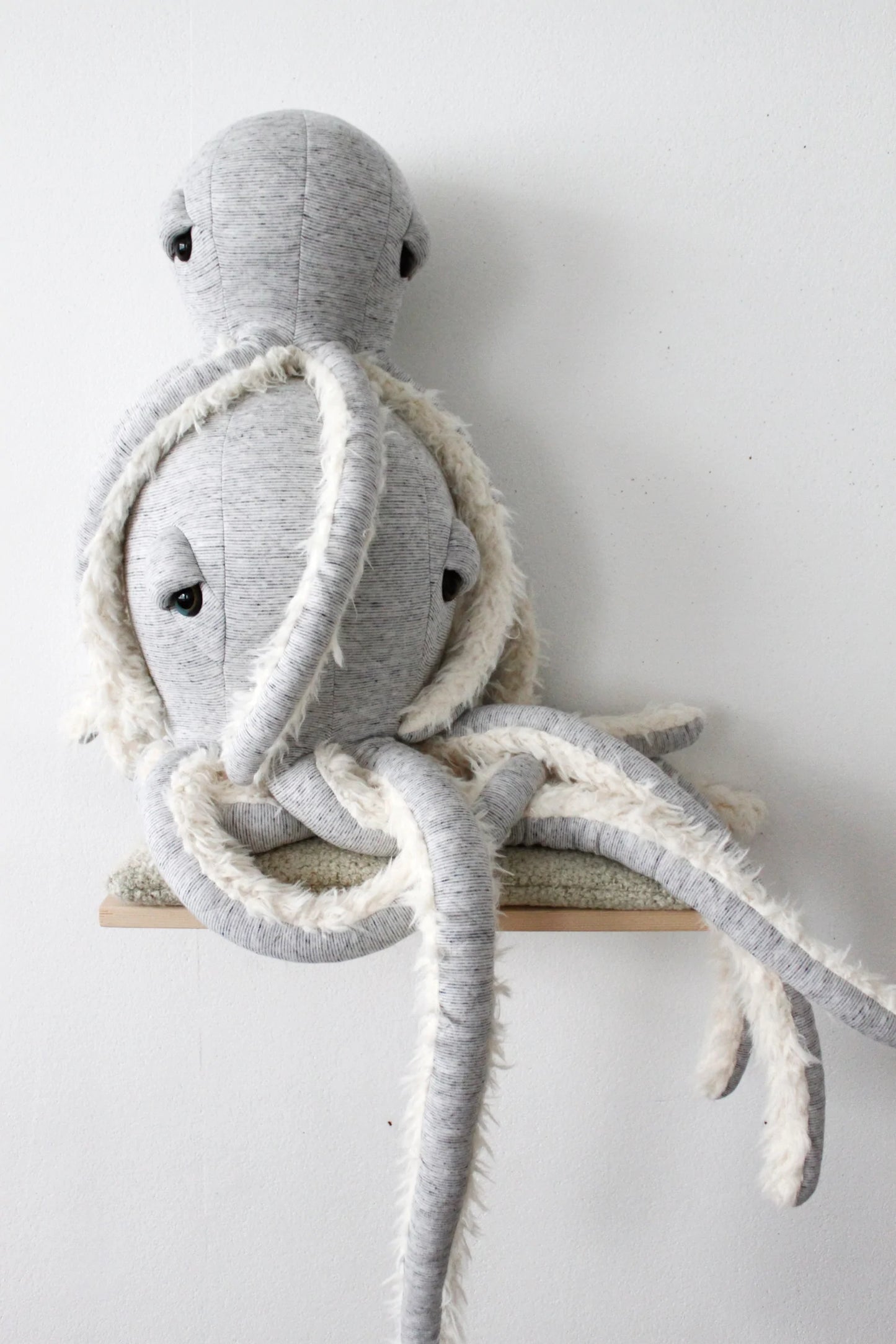 Small GrandPa Octopus