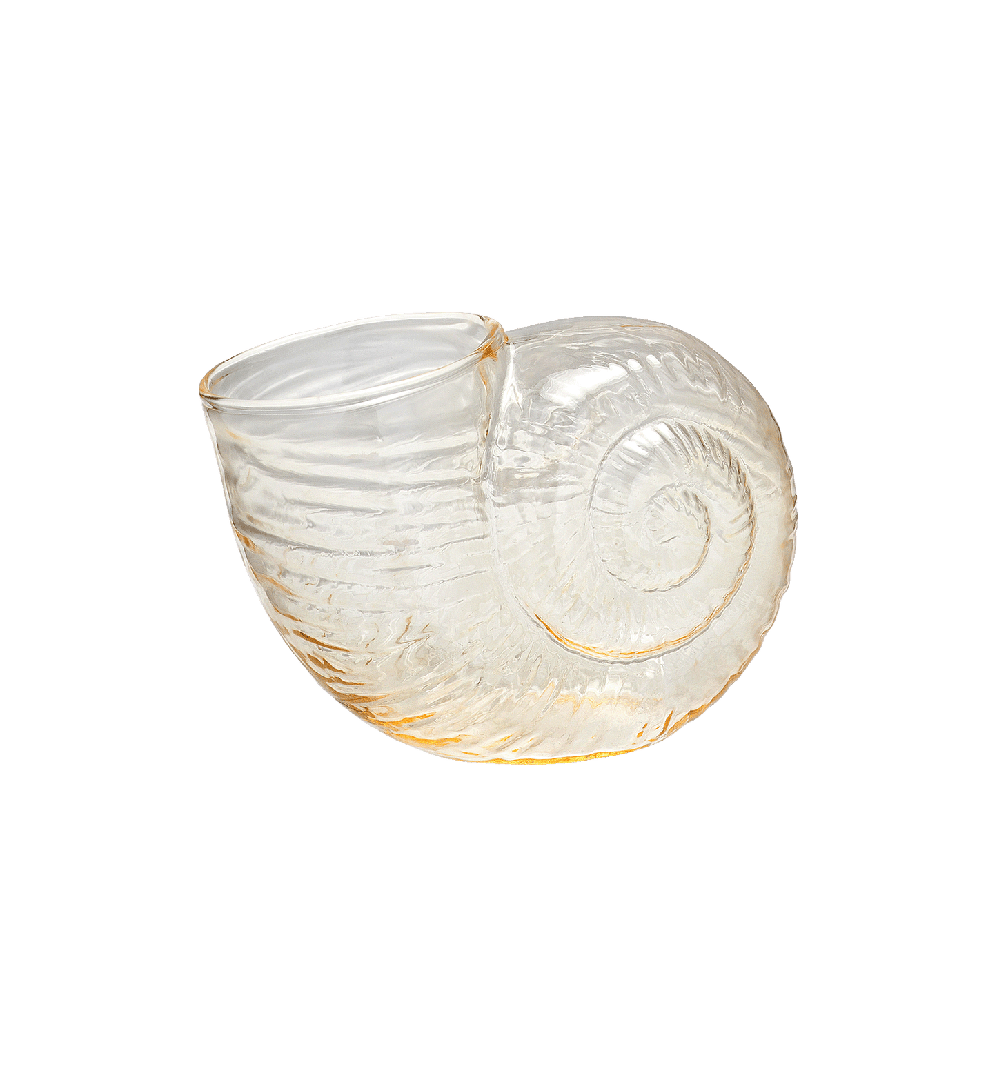 Vase Shell