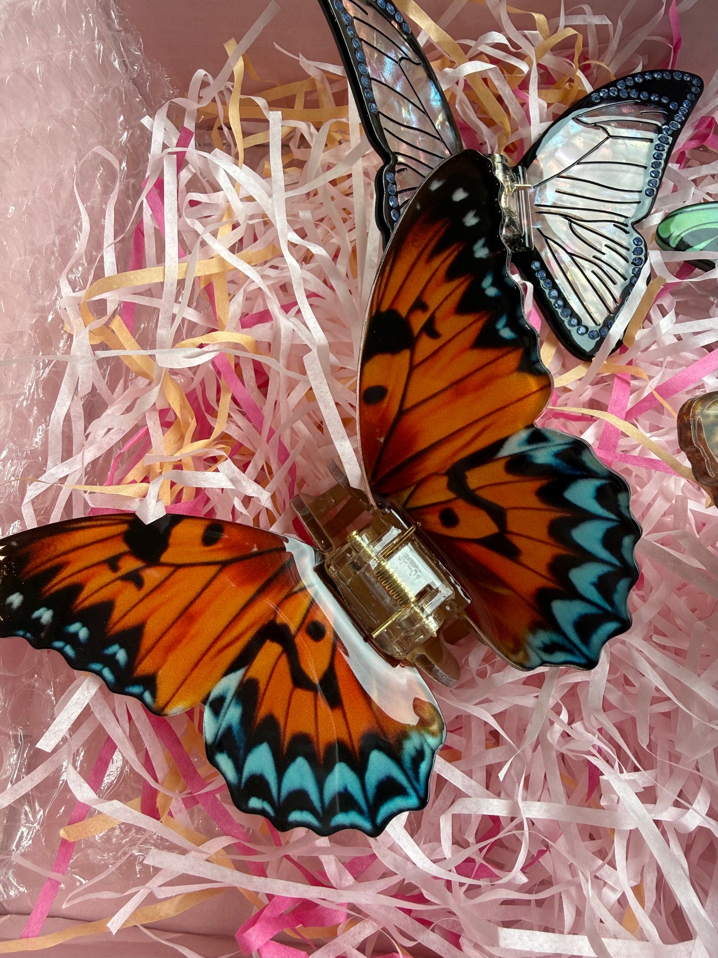 Pince Papillon Vanessa