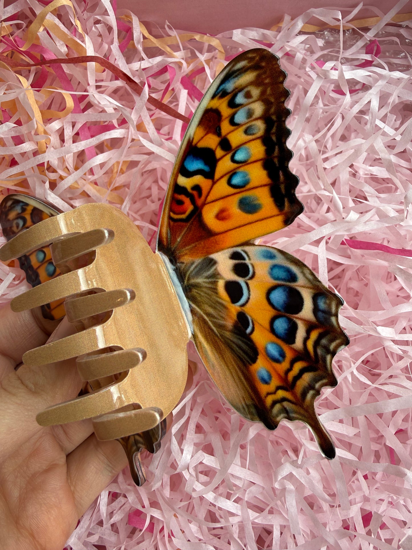Pince Papillon Queen