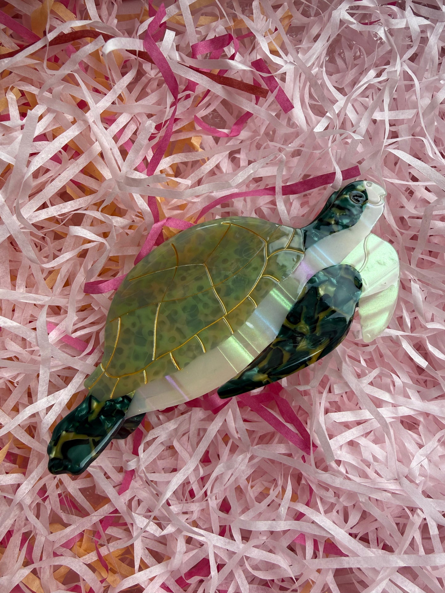 Pince tortue