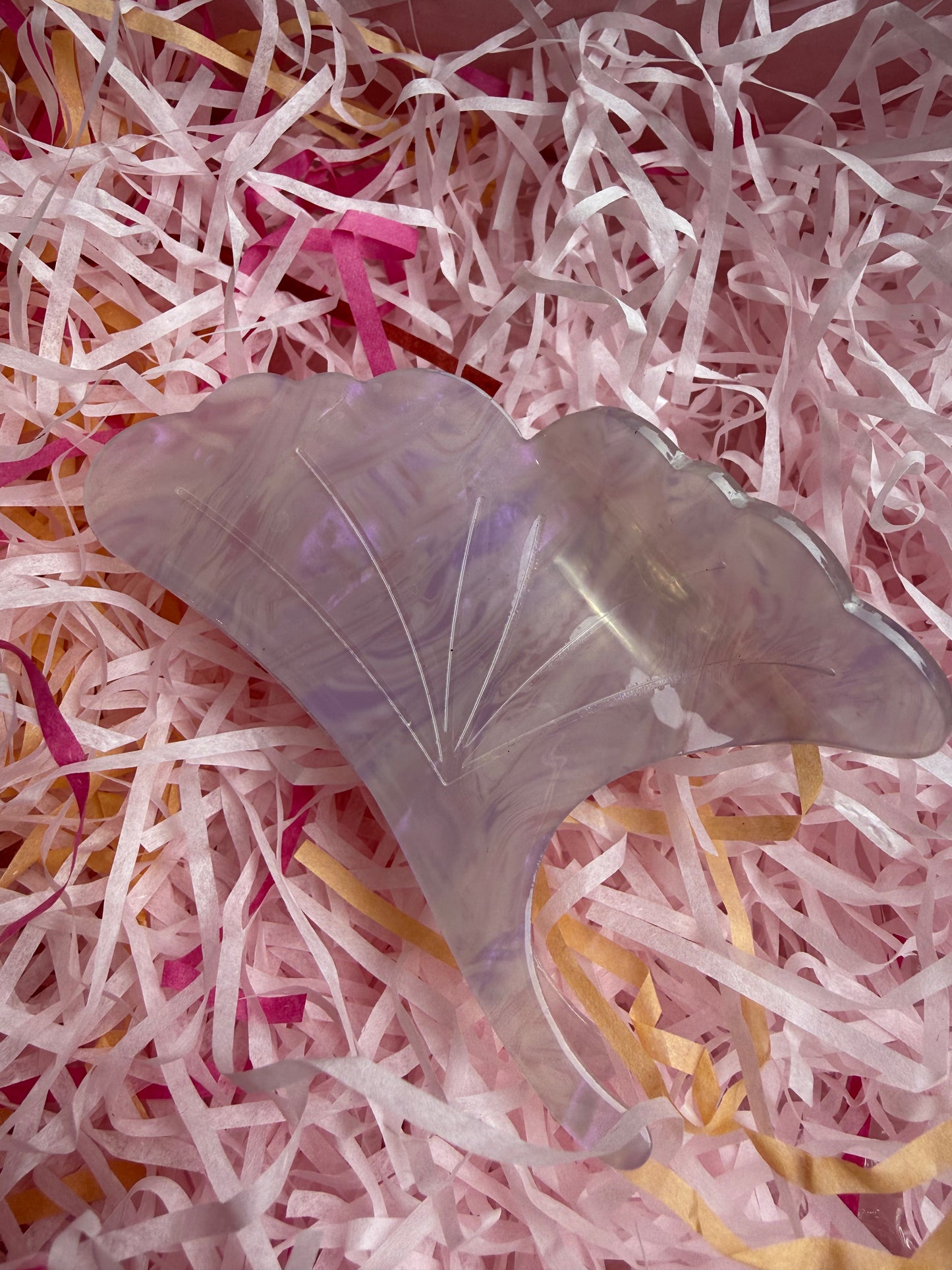 Pince Ginkgo