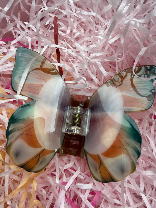 Pince Papillon orangé