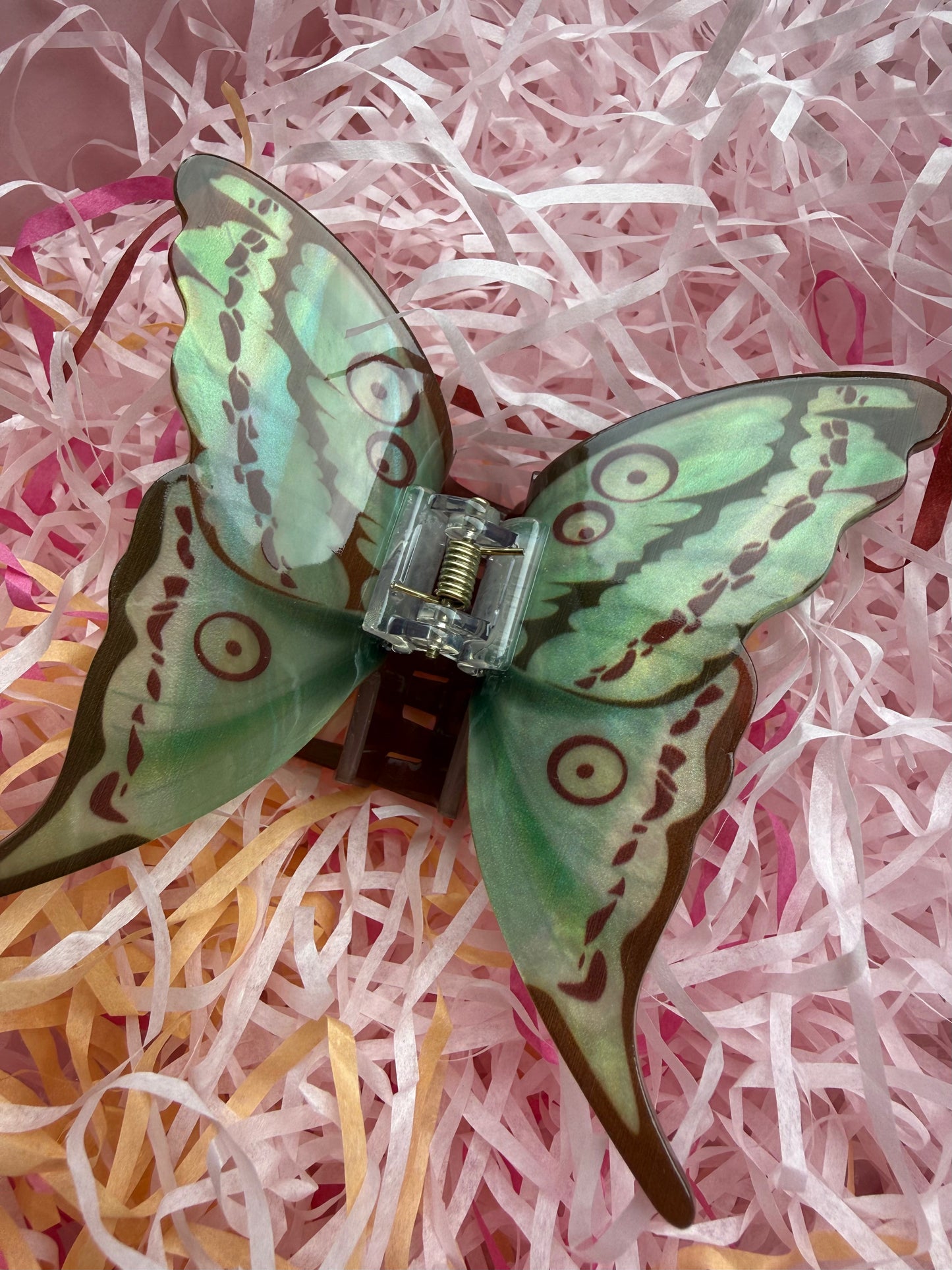 Pince Papillon vert