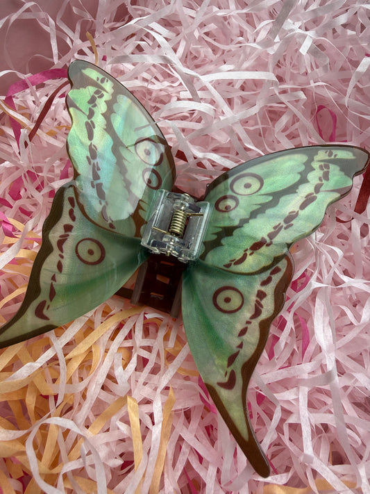 Pince Papillon vert