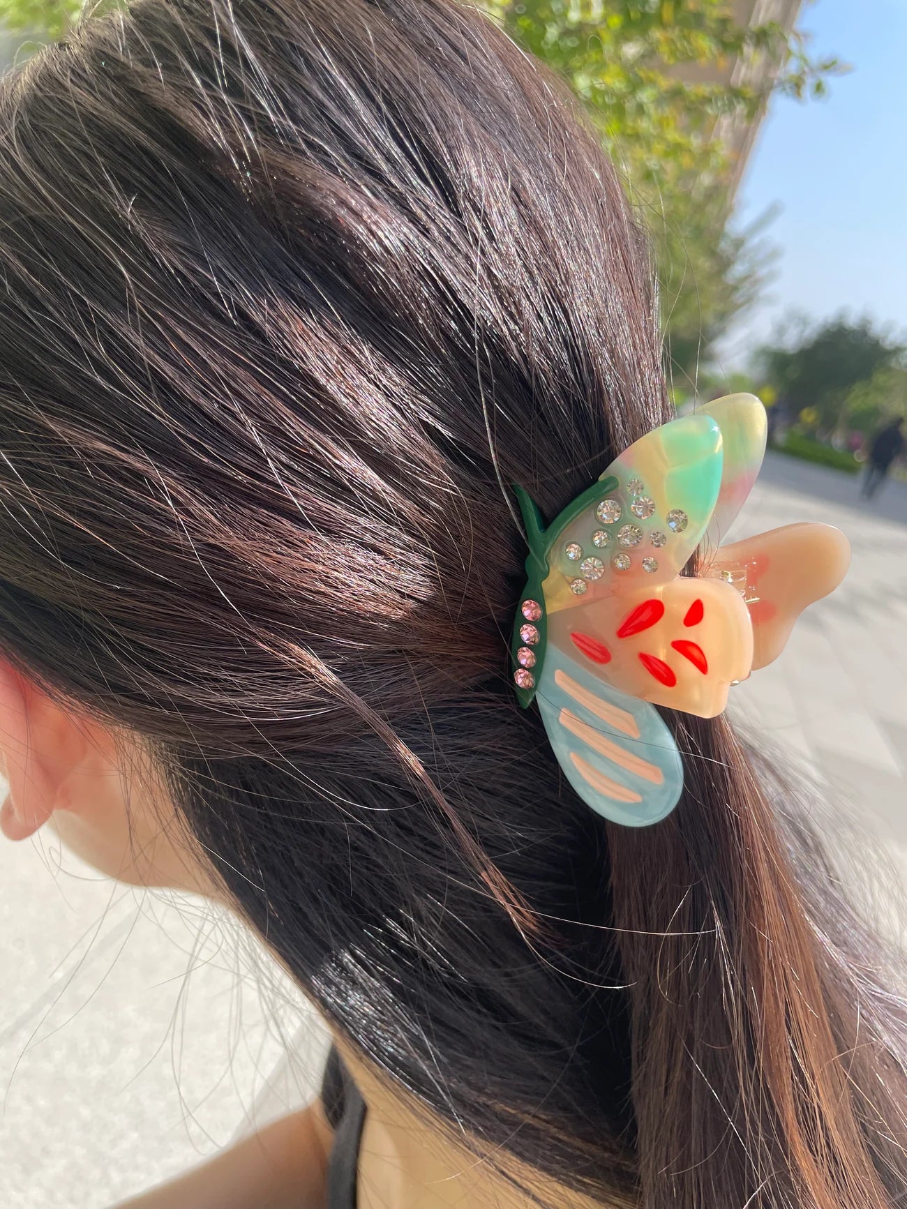 Pince Papillon multicolore